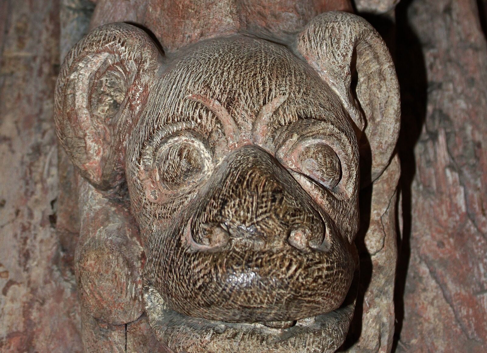 Canon EOS 500D (EOS Rebel T1i / EOS Kiss X3) sample photo. Wood carving, detail, fantastic photography