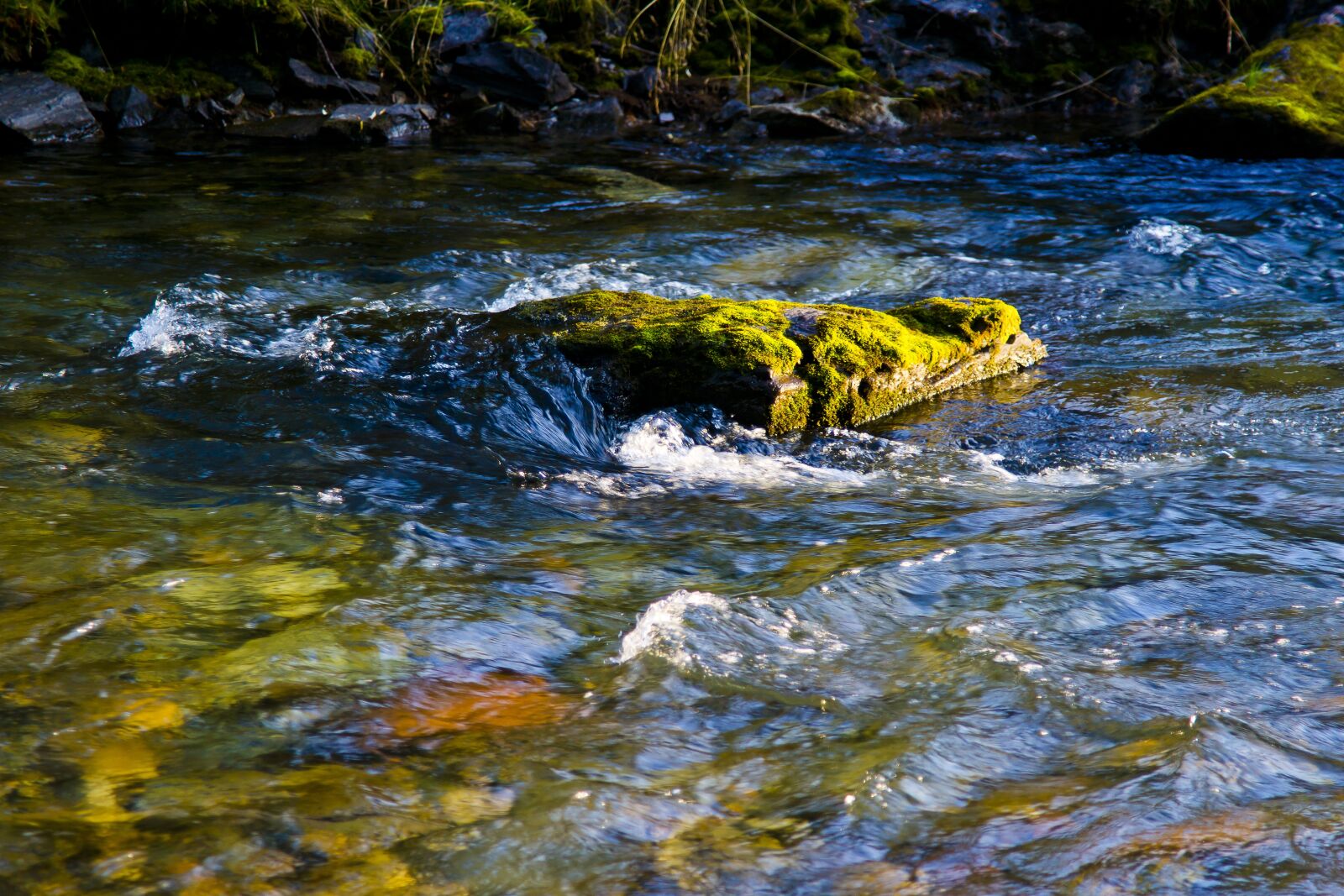 Sony Alpha DSLR-A850 sample photo. Altai, mountain, river photography