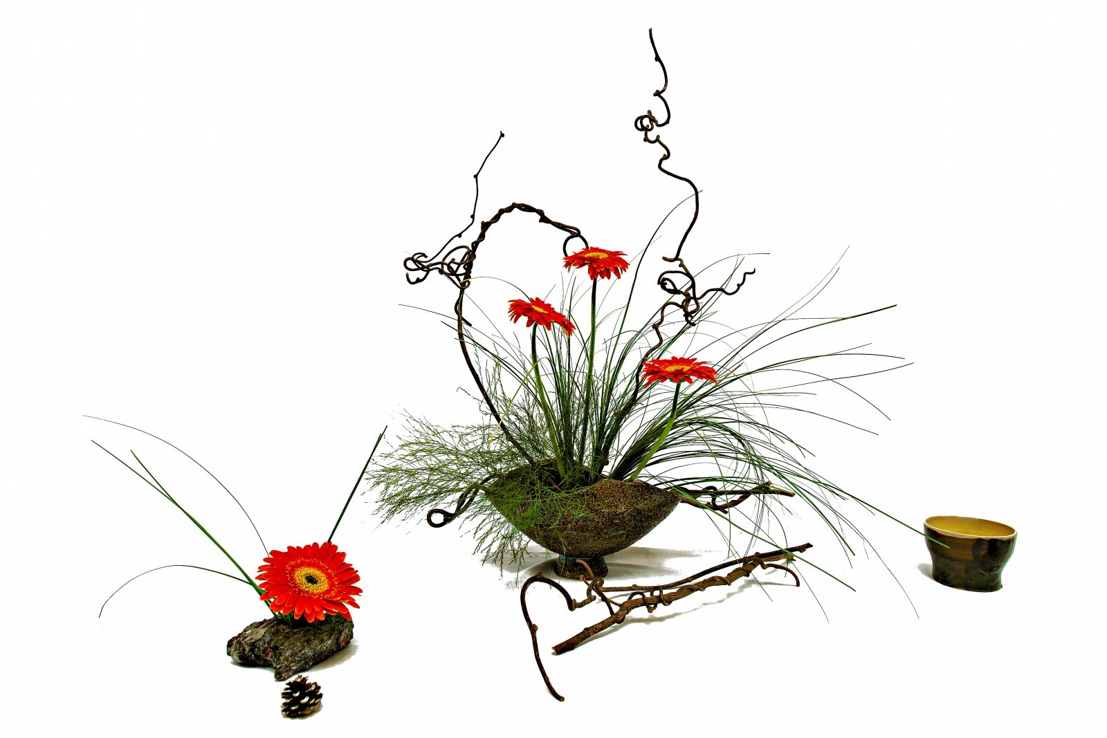 Nikon D3S sample photo. Flower, ikebana, floral photography