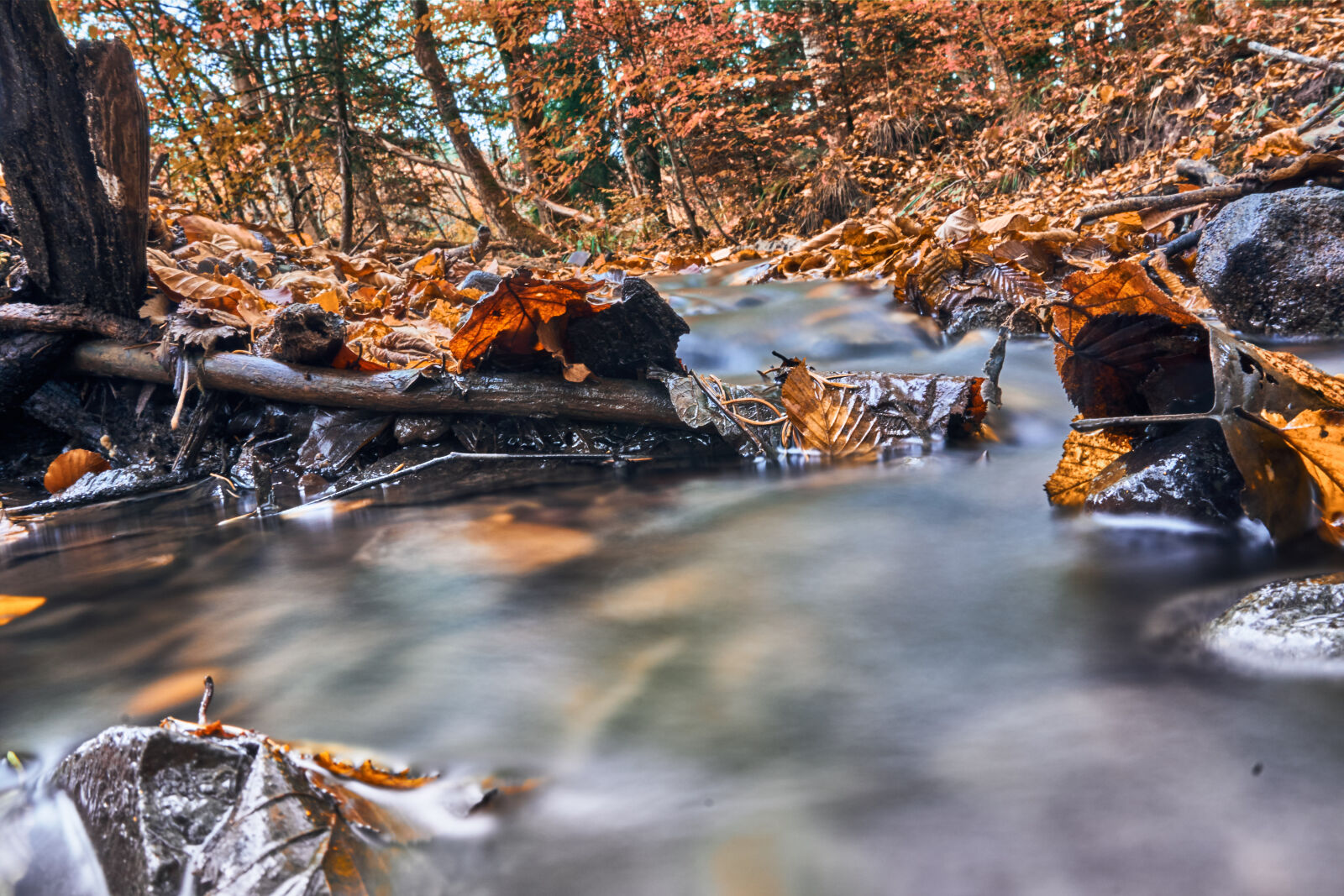 Sony E PZ 16-50 mm F3.5-5.6 OSS (SELP1650) sample photo. Autumn, creek, leaves, long photography