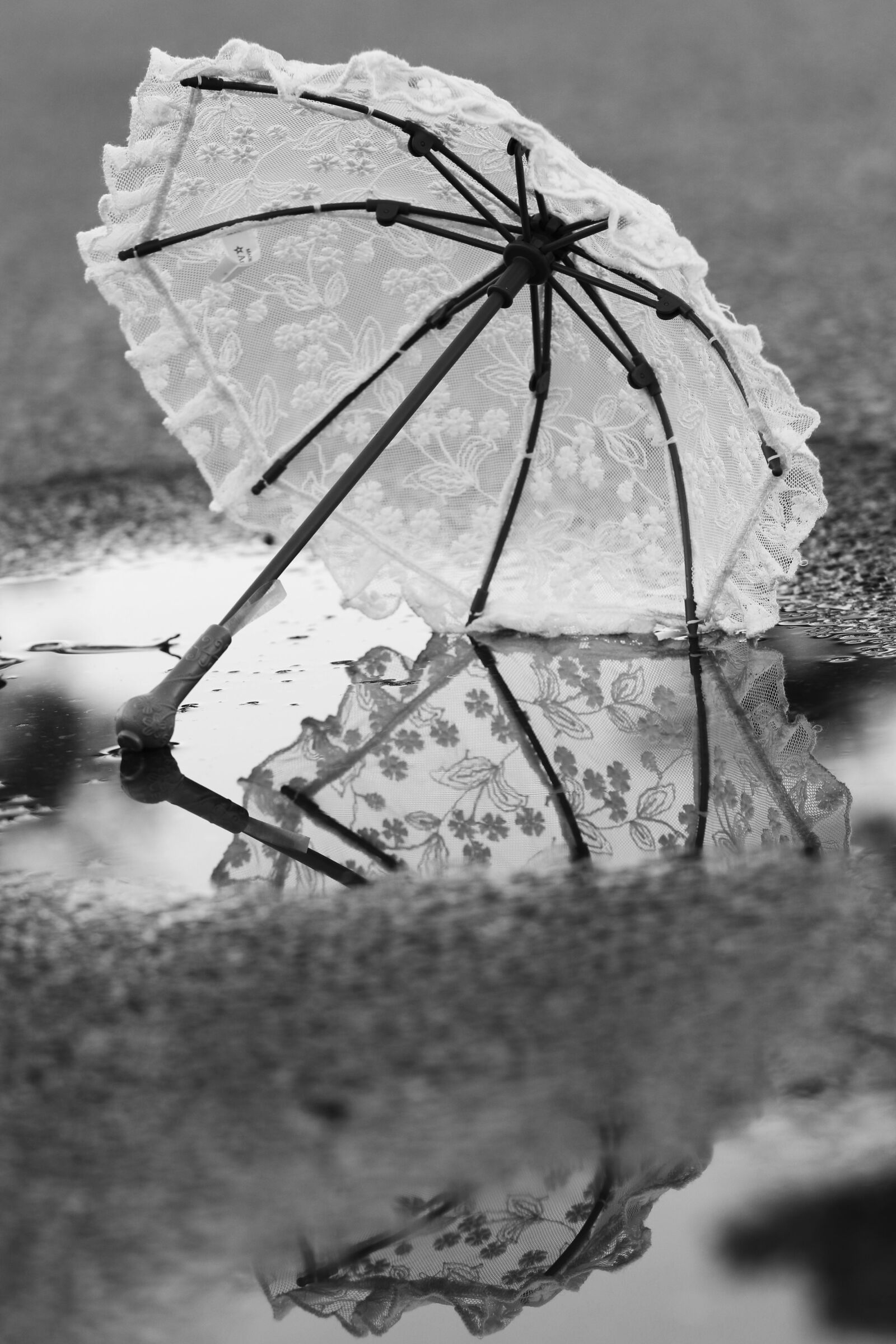 Canon EF 100mm F2.8L Macro IS USM sample photo. Umbrella, puddle, water photography