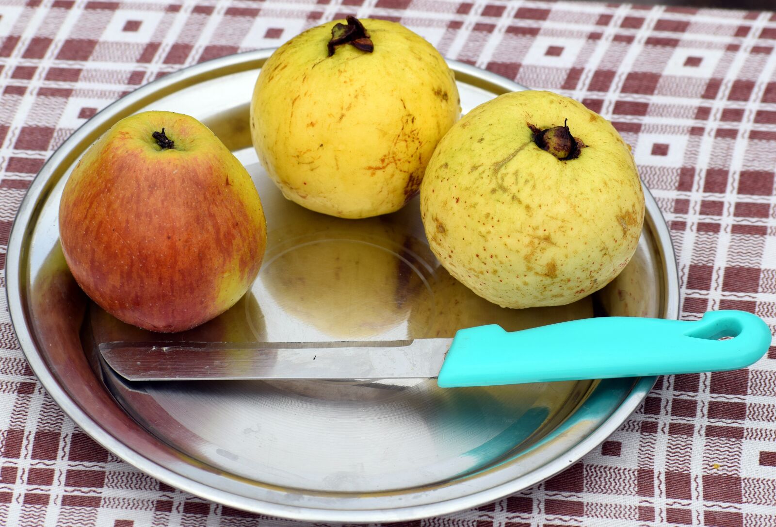 Nikon D3300 sample photo. Fresh fruits, apple, guava photography