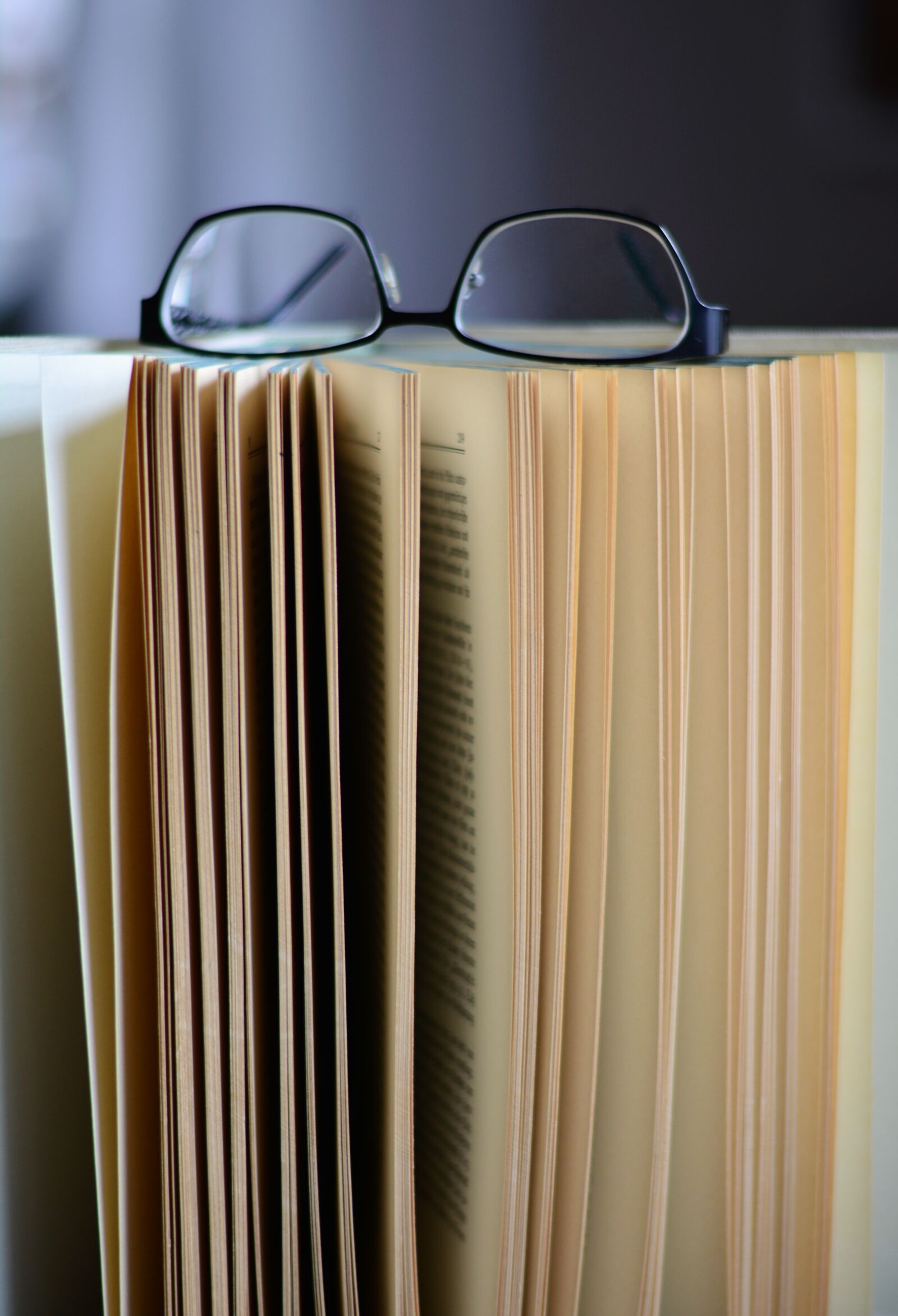 Nikon D5200 sample photo. Book pages, book, read photography