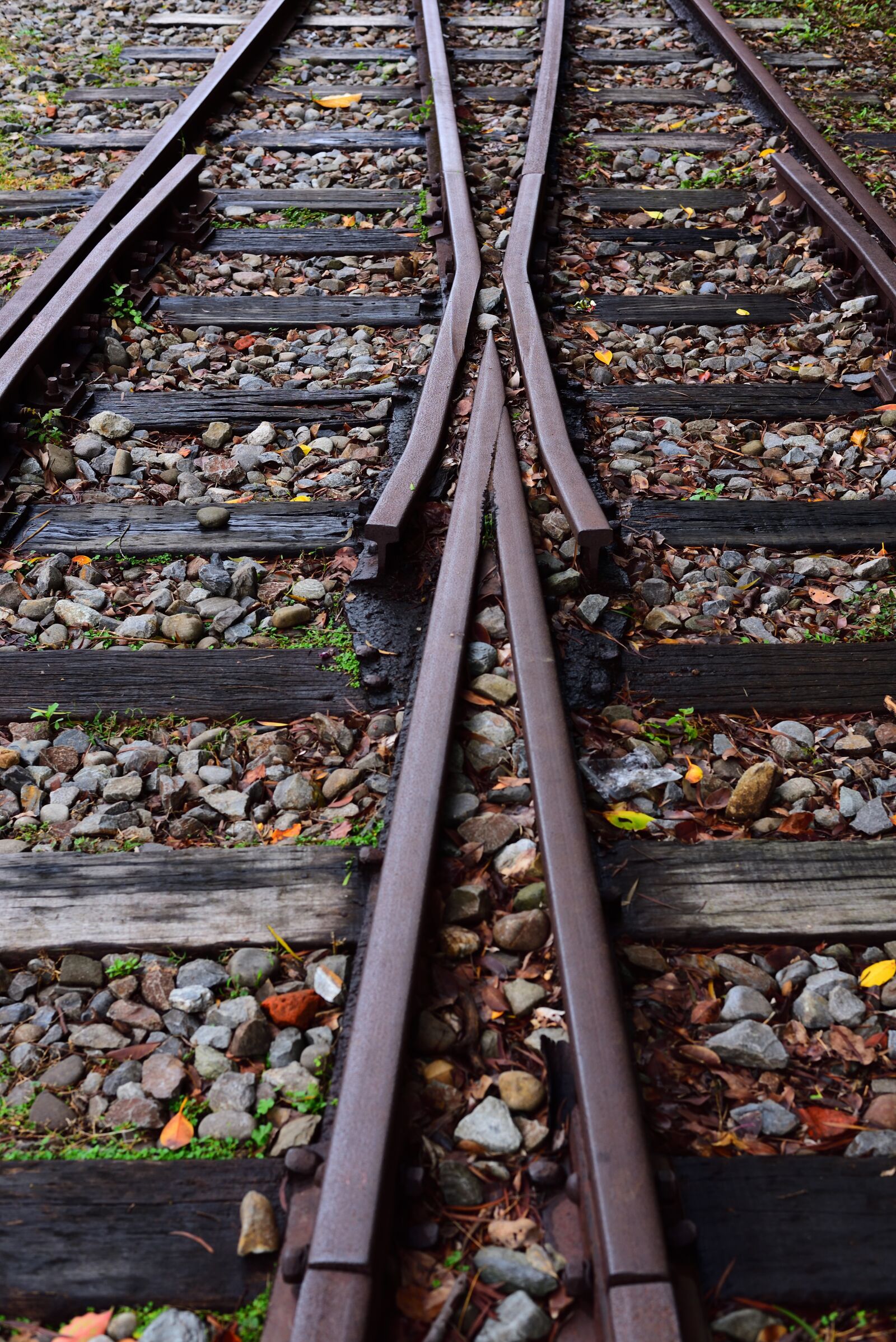 Nikon D750 sample photo. Rail, railway, tracks photography