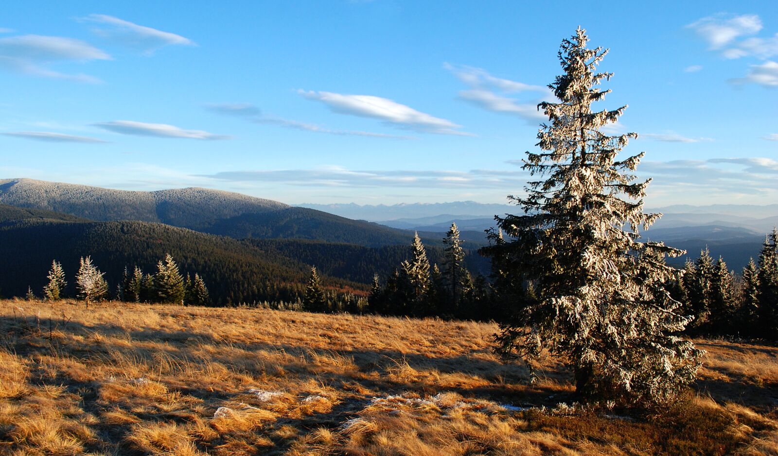 Nikon D80 sample photo. Mountains, view, rysianka photography