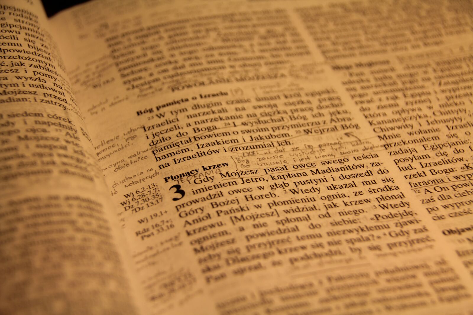 Canon EOS 550D (EOS Rebel T2i / EOS Kiss X4) sample photo. Writing, the scriptures, lectio photography