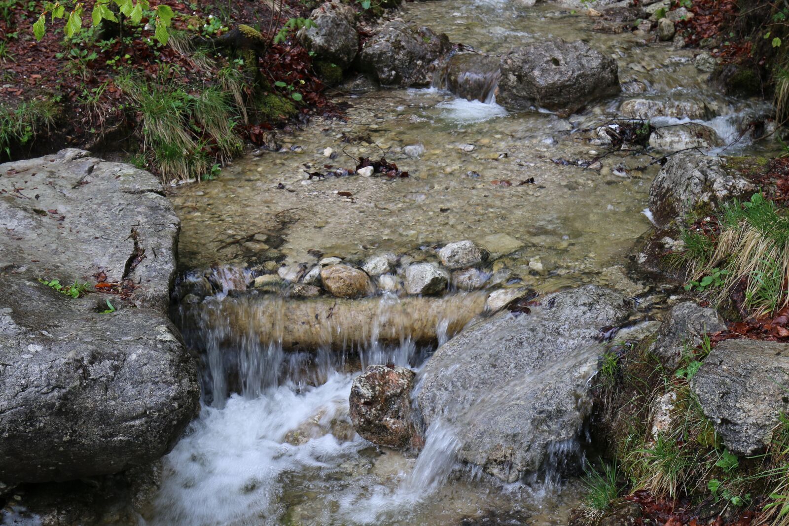 Canon EOS 70D + Canon EF 16-35mm F4L IS USM sample photo. Nature, creek, landscape photography