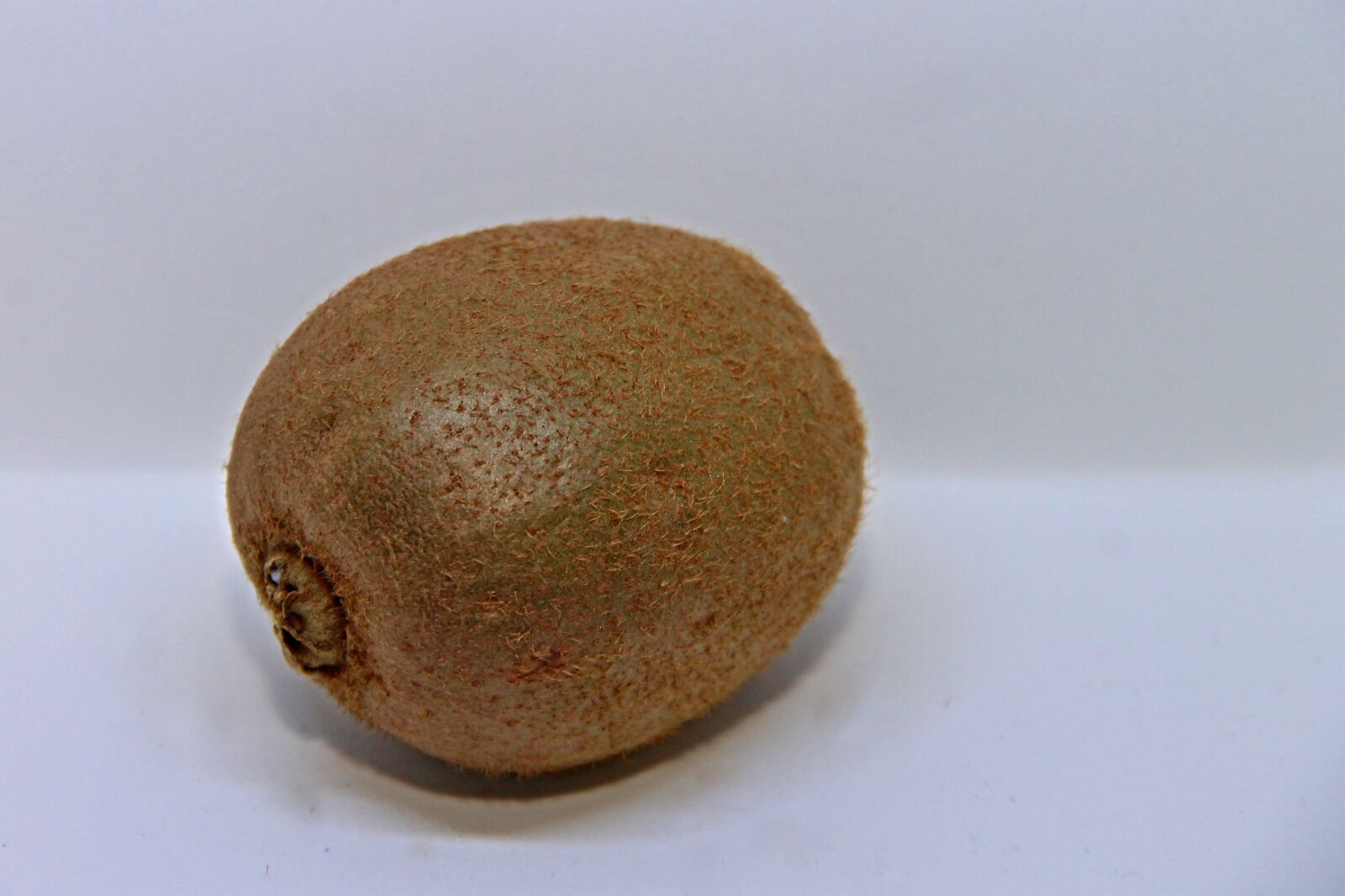 Canon EOS 1100D (EOS Rebel T3 / EOS Kiss X50) sample photo. Kiwi, actinidia deliciosa, fruit photography