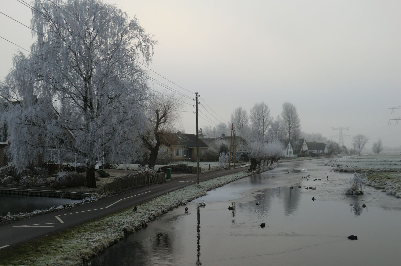 CASIO EX-H5 sample photo. Winter landscape, winter, polder photography