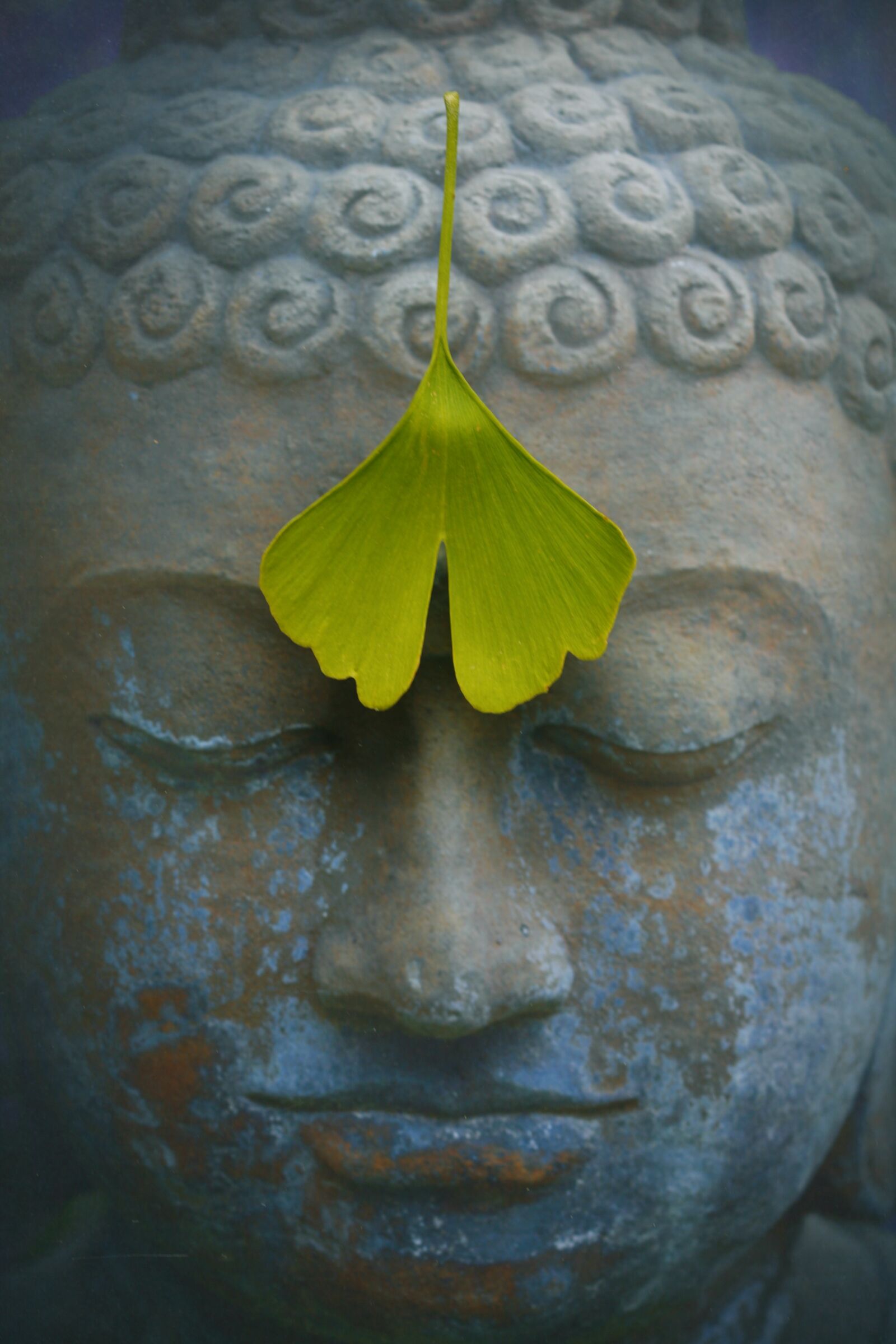 Canon EOS 5D sample photo. Buddha, zen, meditation photography