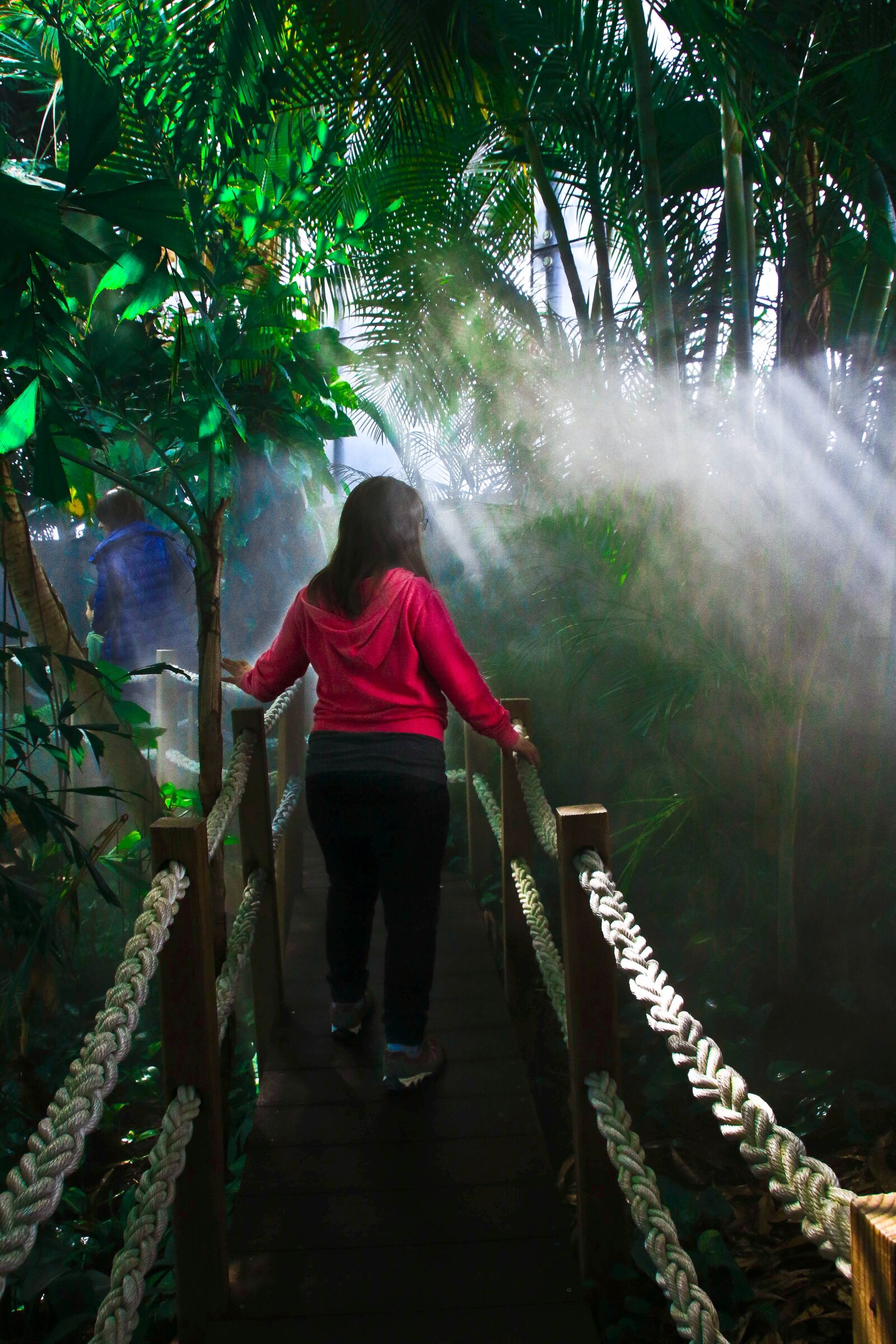 Canon EOS 70D sample photo. Jungle, trees, plants photography