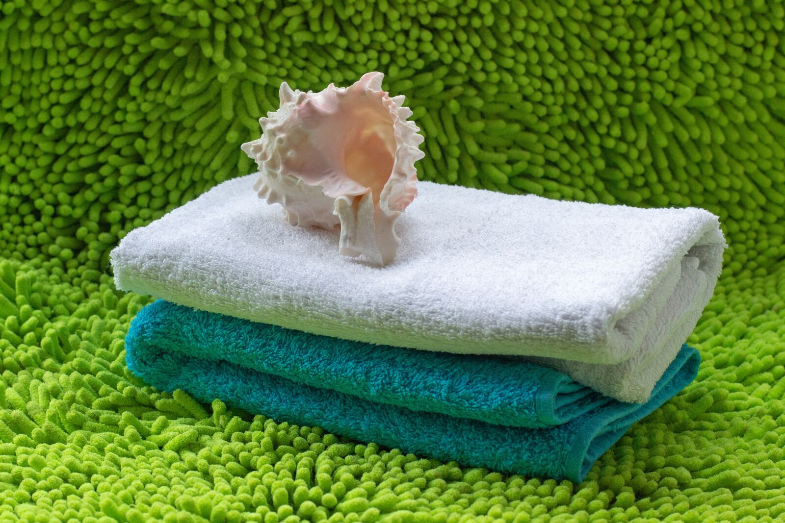 Nikon D3100 sample photo. Towel, seashells, beach photography