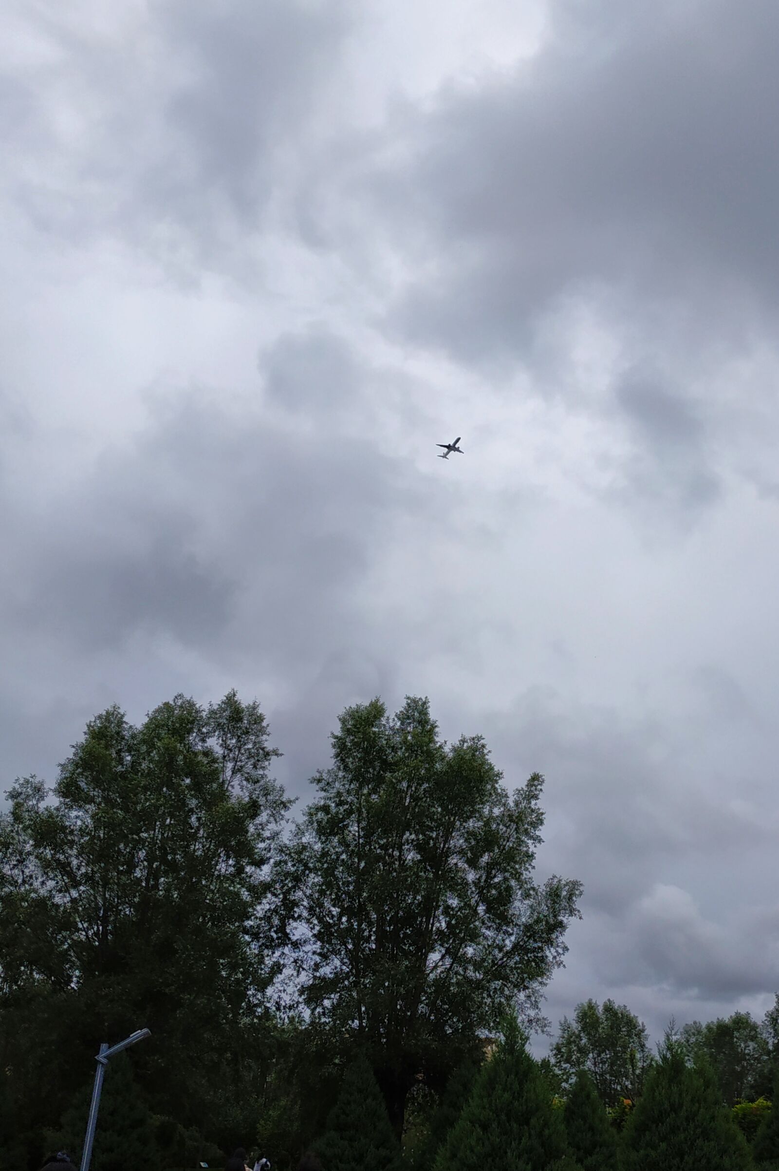 Xiaomi Redmi Note 5 sample photo. Day, tree, aircraft photography