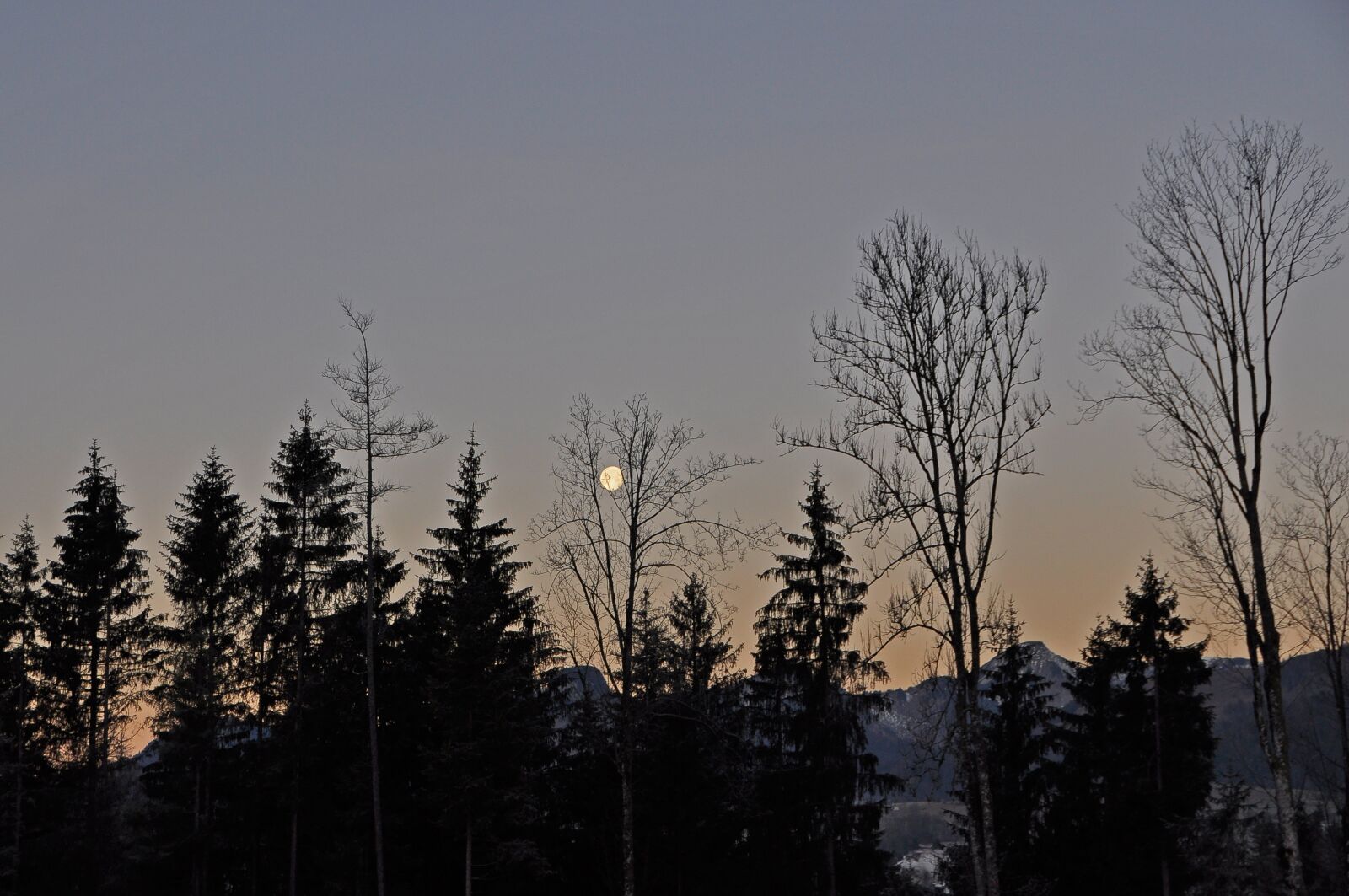 Nikon D90 sample photo. Moon, landscape, evening photography