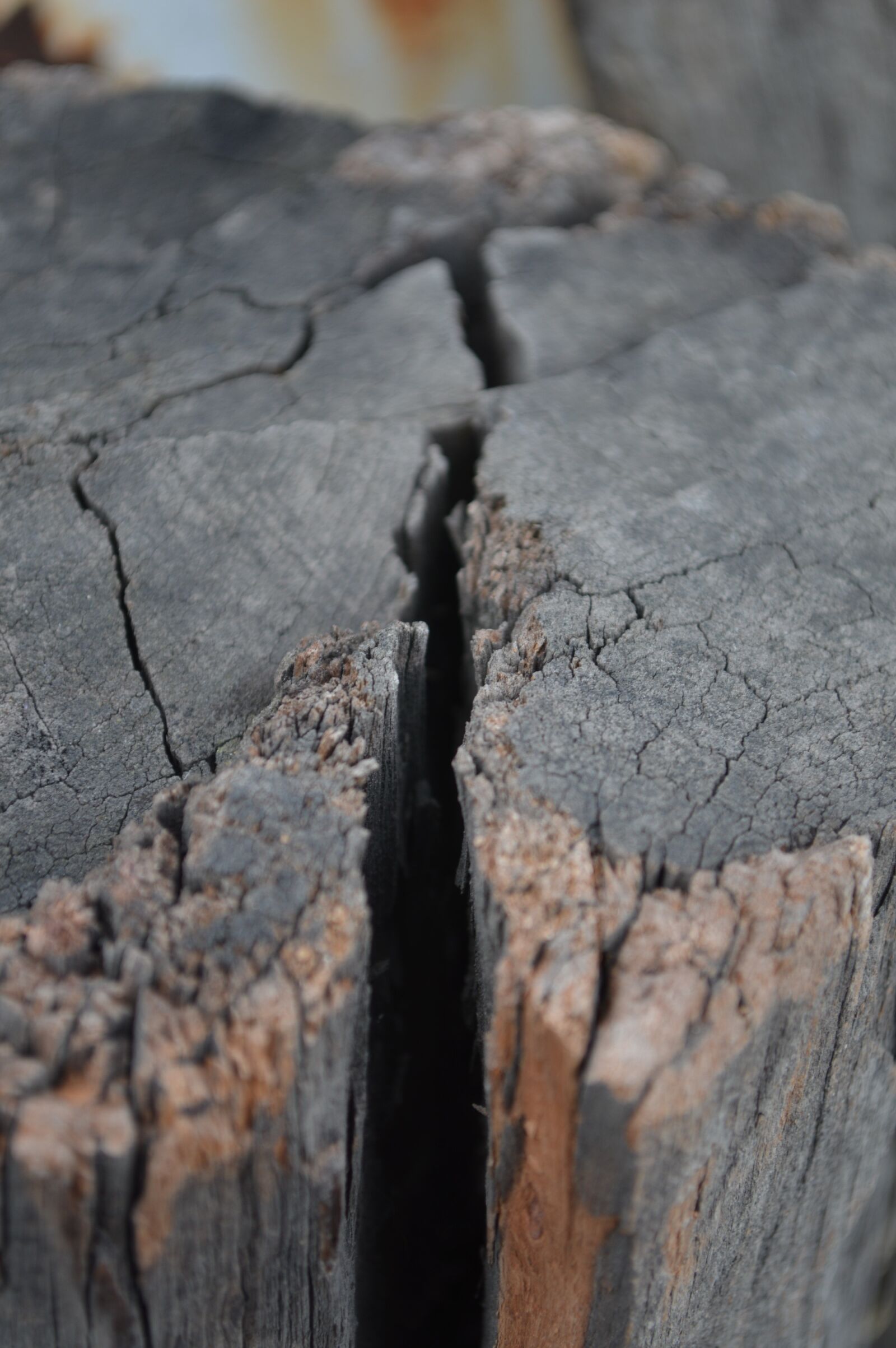 Nikon D3200 sample photo. Wood, texture, detail photography