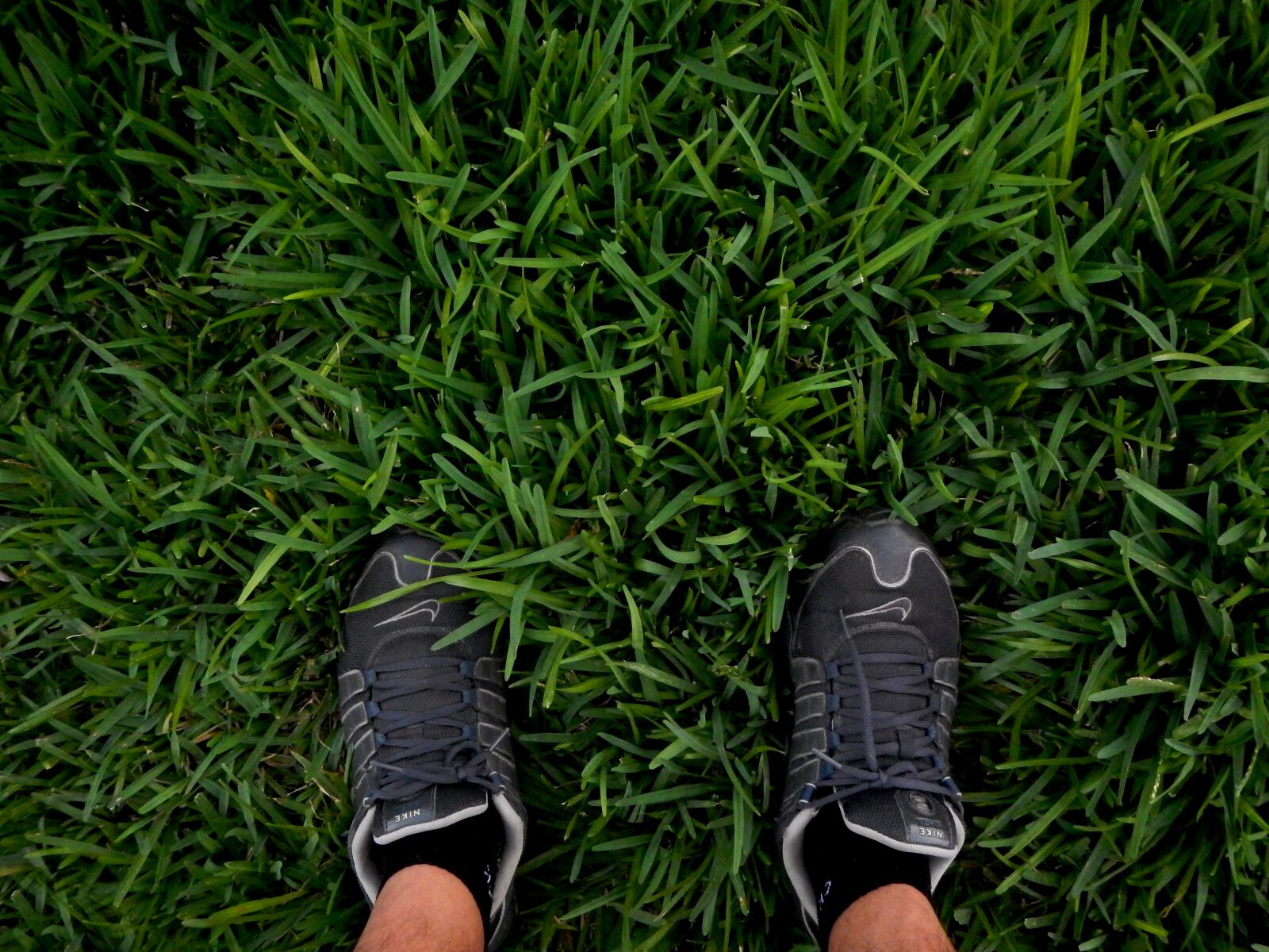 Nikon Coolpix AW110 sample photo. Standing, shoes, lawn photography
