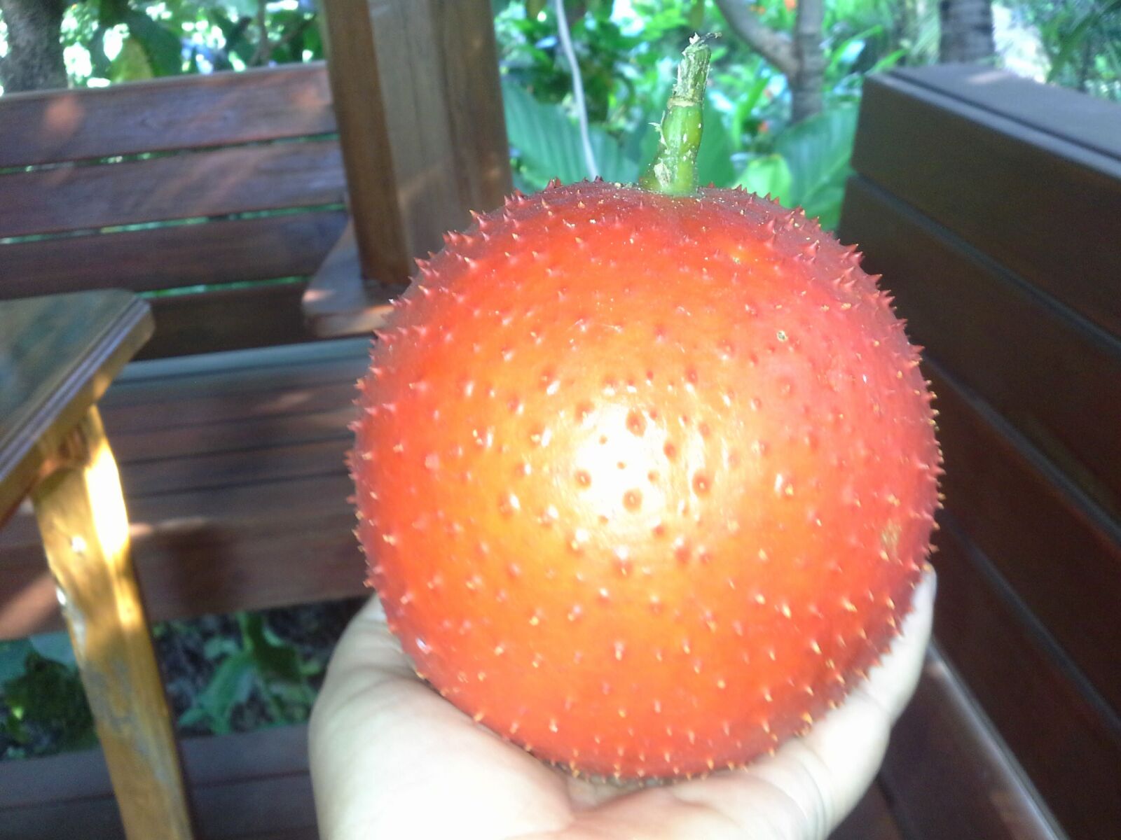 Samsung Galaxy Note 10.1 sample photo