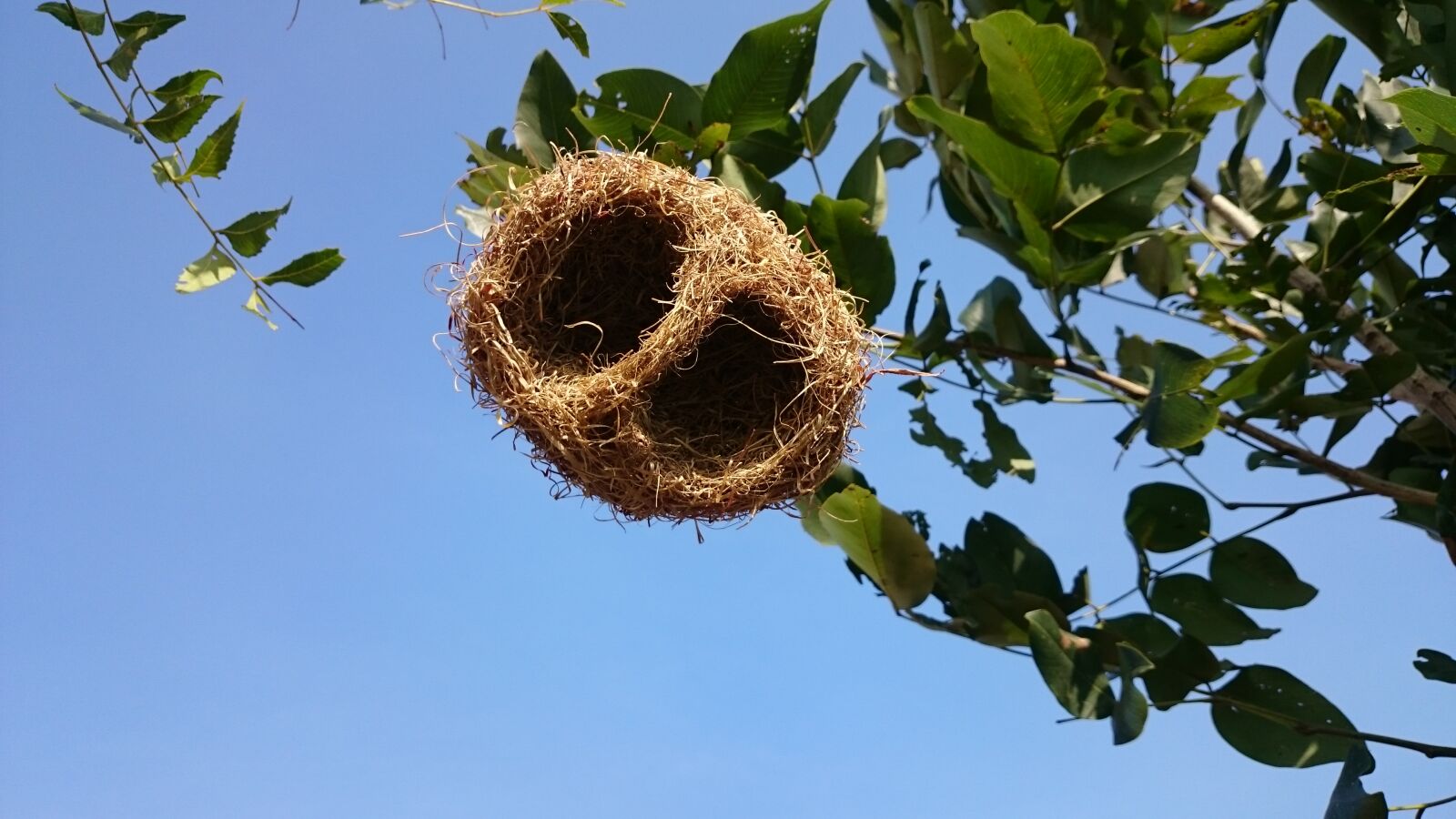Sony Xperia Z2 sample photo