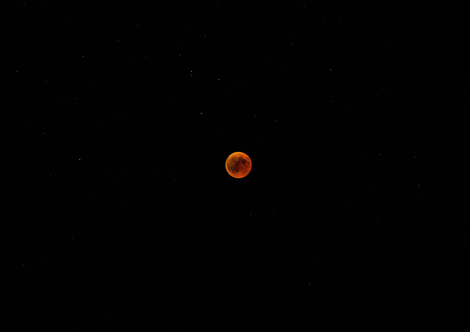 Nikon D800 sample photo. Blood moon, moon, moonlight photography