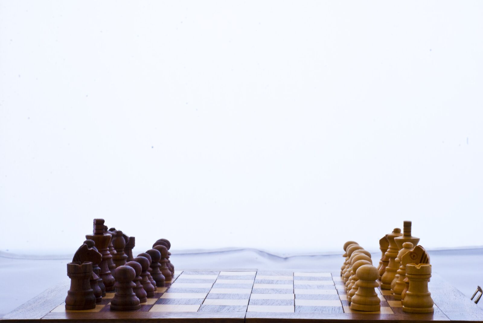 Nikon D60 sample photo. Game, chess, l photography