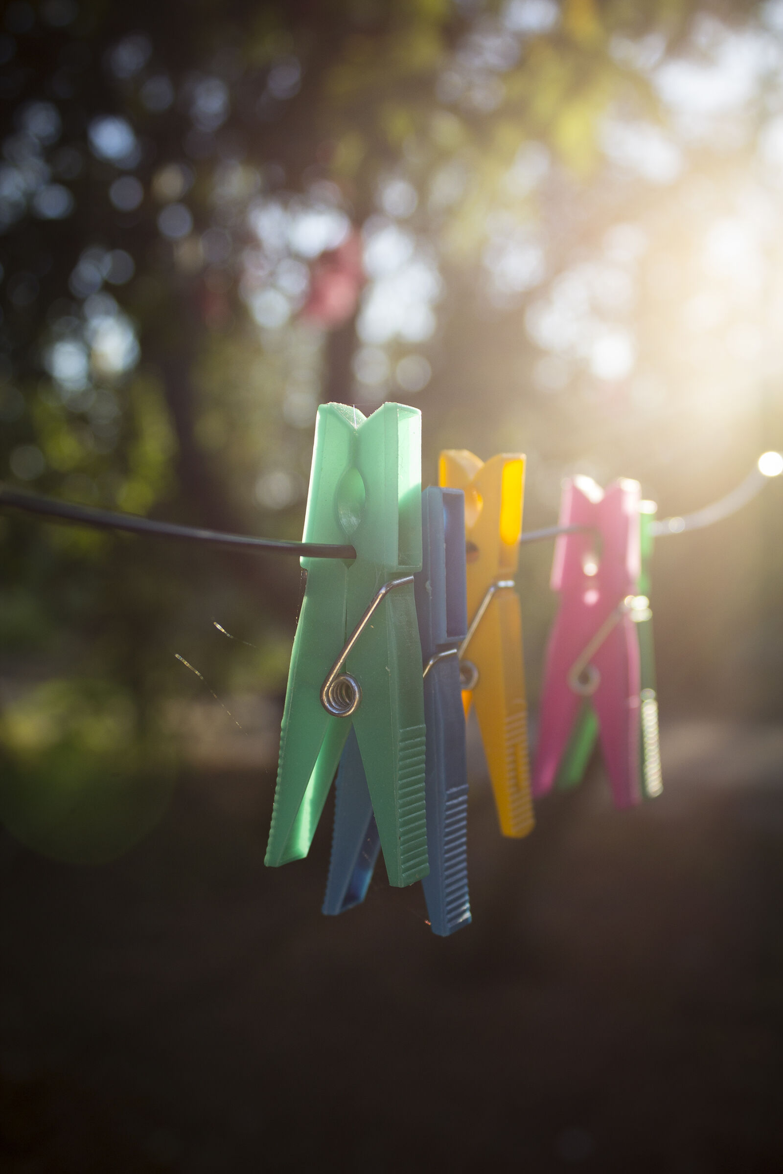 Canon EOS 600D (Rebel EOS T3i / EOS Kiss X5) sample photo. Ray, of, sunshine, colorful photography