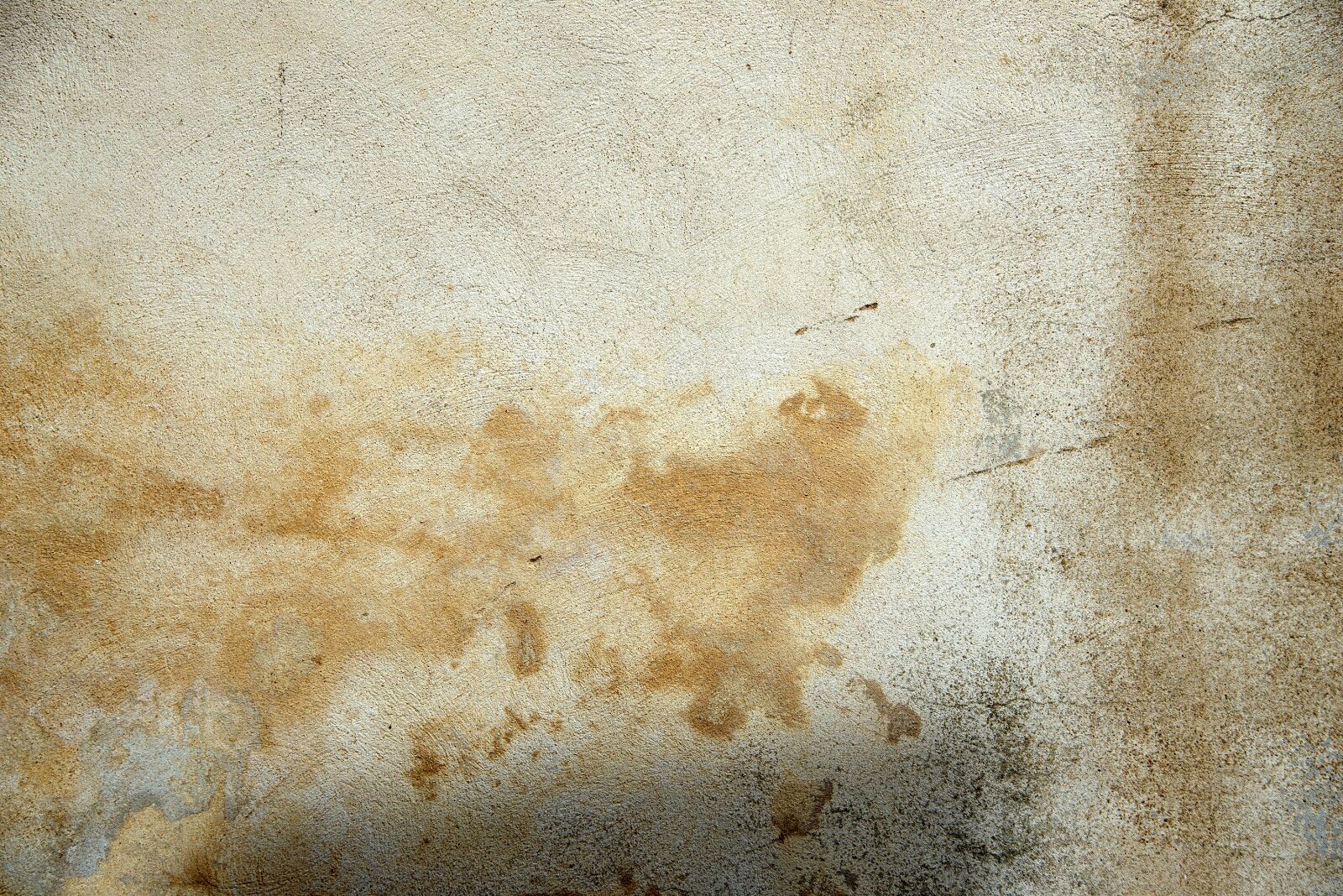 Nikon D610 sample photo. Texture, wall, surface photography