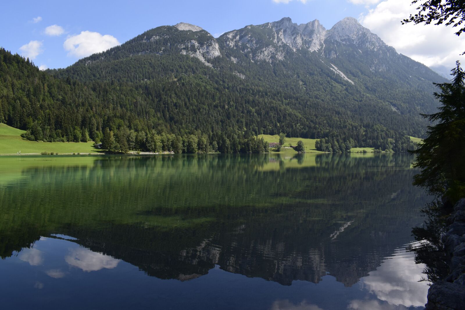 Nikon D3300 sample photo. Austria, nature, summer photography