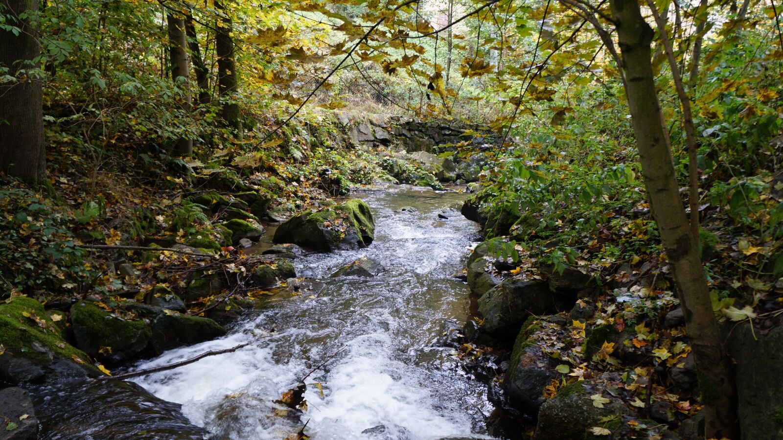 Sony Alpha a3000 sample photo. Watercourse, nature, landscape photography