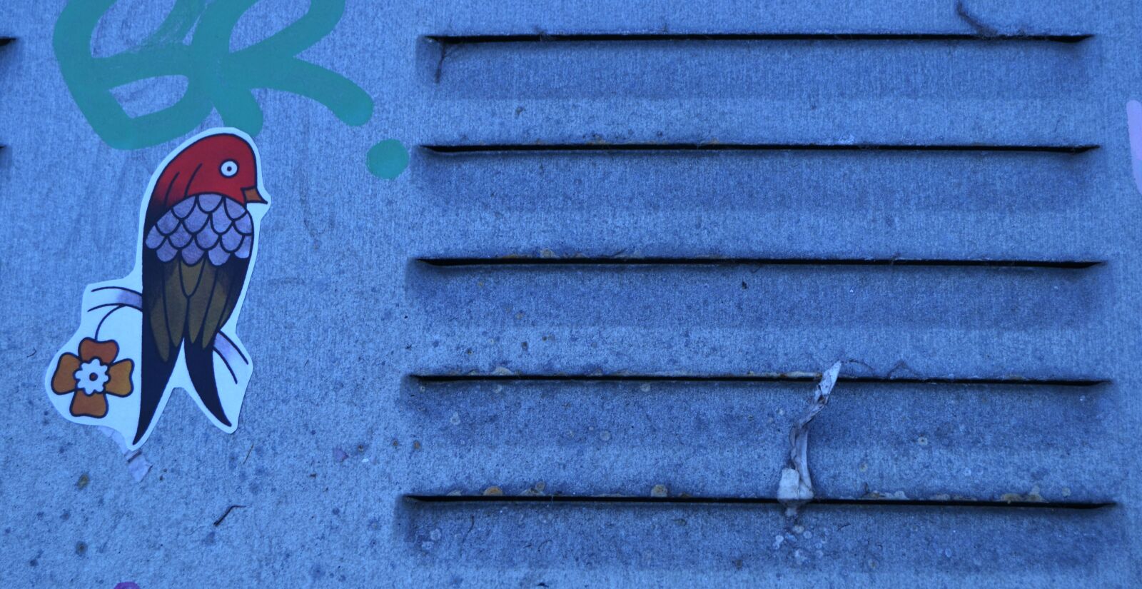 Nikon D3100 sample photo. Bird, graffiti, birds photography