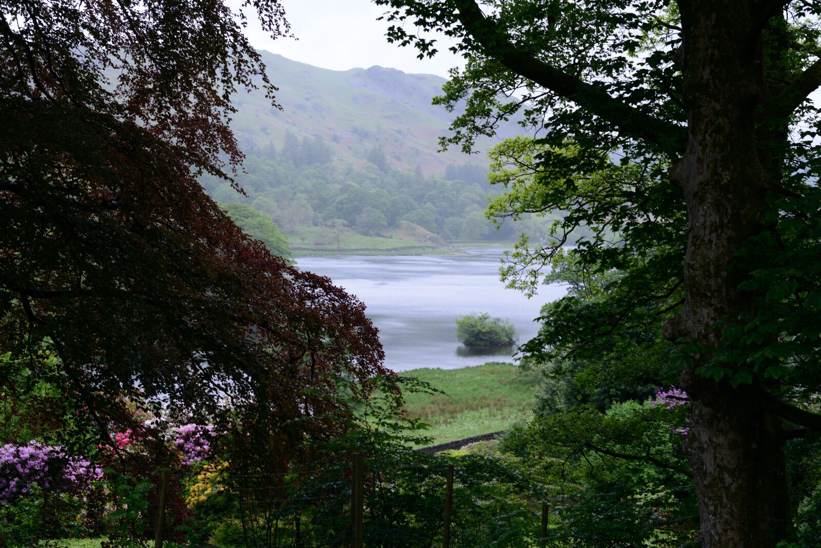 Nikon D800 sample photo. Lake, district, landscape photography