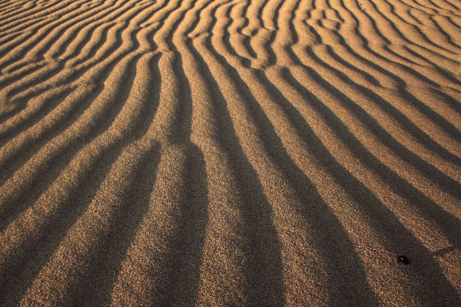 Canon EOS 350D (EOS Digital Rebel XT / EOS Kiss Digital N) sample photo. Arid, barren, desert photography