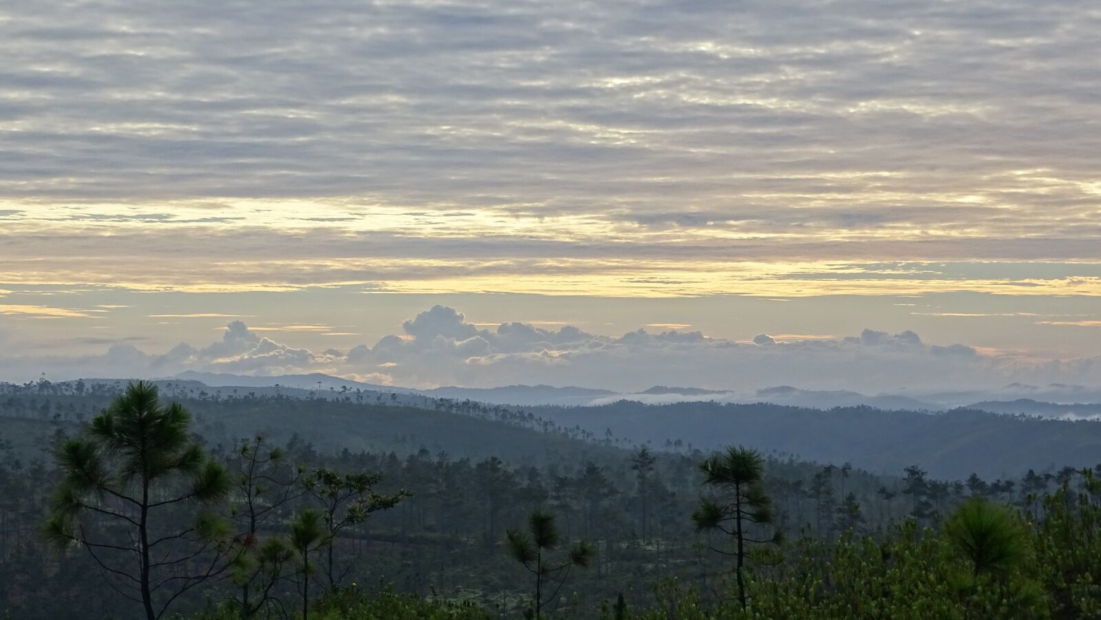 Sony Cyber-shot DSC-HX400V sample photo. Mountain, pine, ridge photography