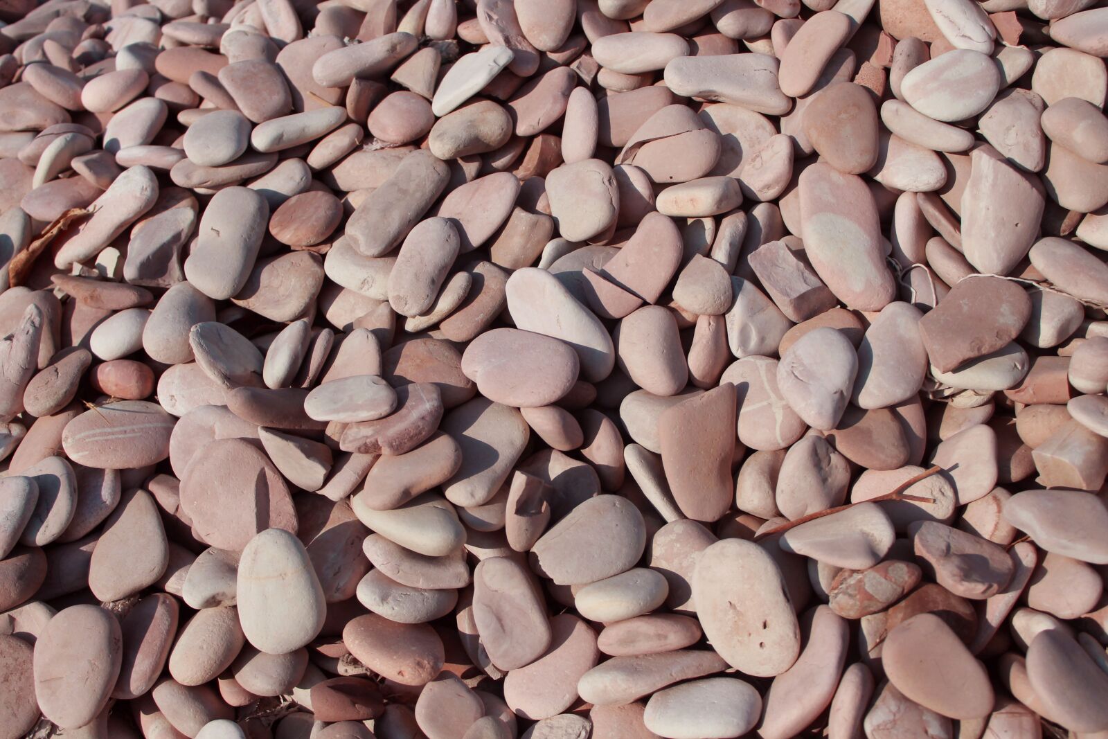 Canon EOS 1100D (EOS Rebel T3 / EOS Kiss X50) sample photo. Stone, nature, ornamental photography