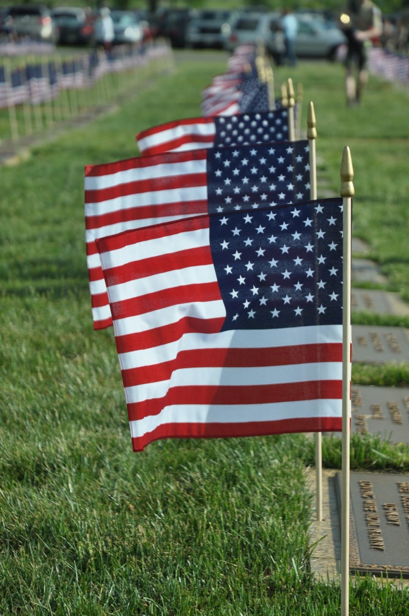 Nikon D90 sample photo. American flag, flag, usa photography