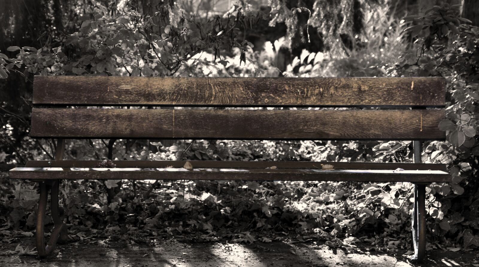 Canon EOS 80D sample photo. Park bench, rest, break photography