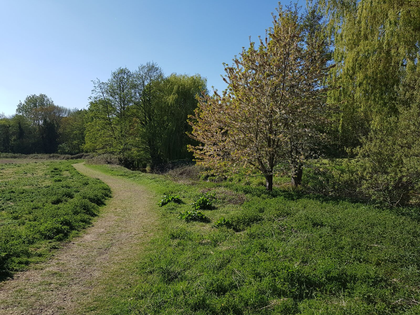Samsung Galaxy S8 sample photo. River, countryside, trees photography