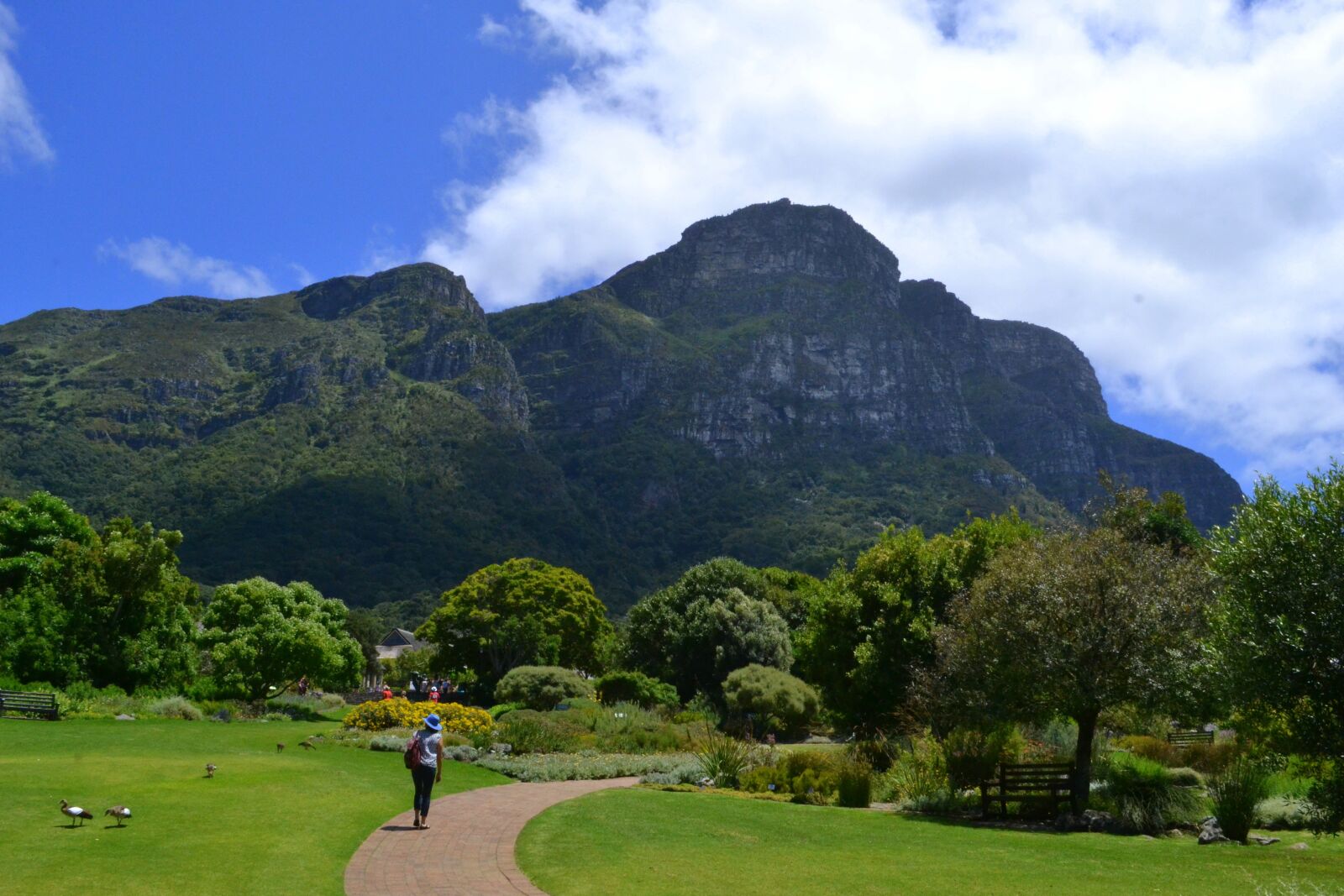 Nikon D3100 sample photo. Cape town, south africa photography