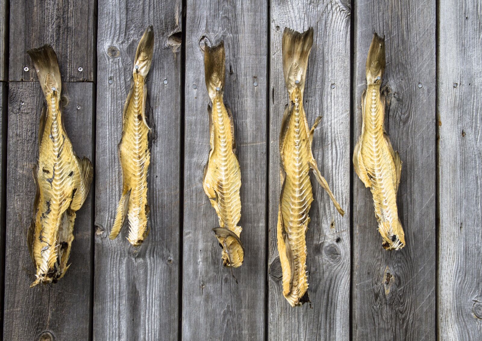 Canon EOS 7D sample photo. Iceland, dried fish, fish photography