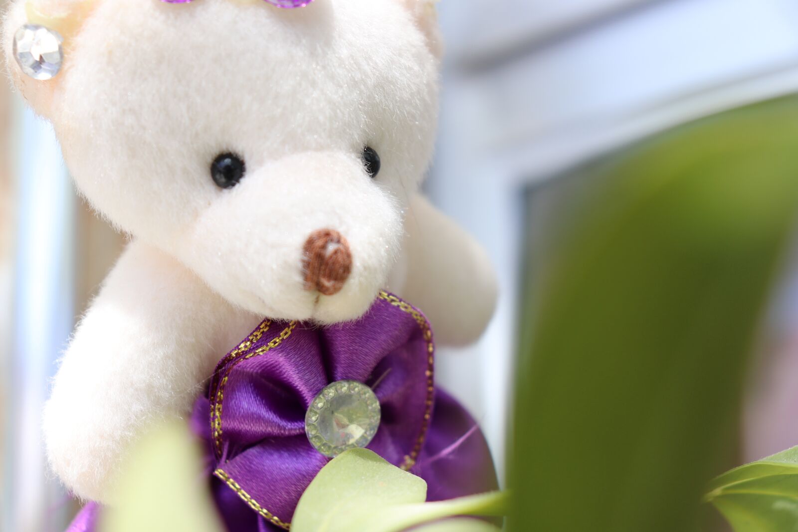 Canon EOS 800D (EOS Rebel T7i / EOS Kiss X9i) sample photo. Cubs, doll, toys photography