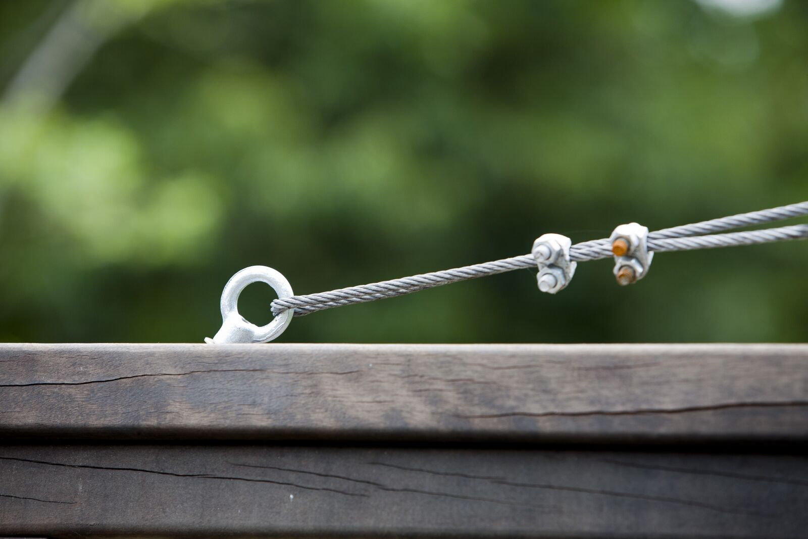 Canon EOS 5D sample photo. Collar, line, moon photography