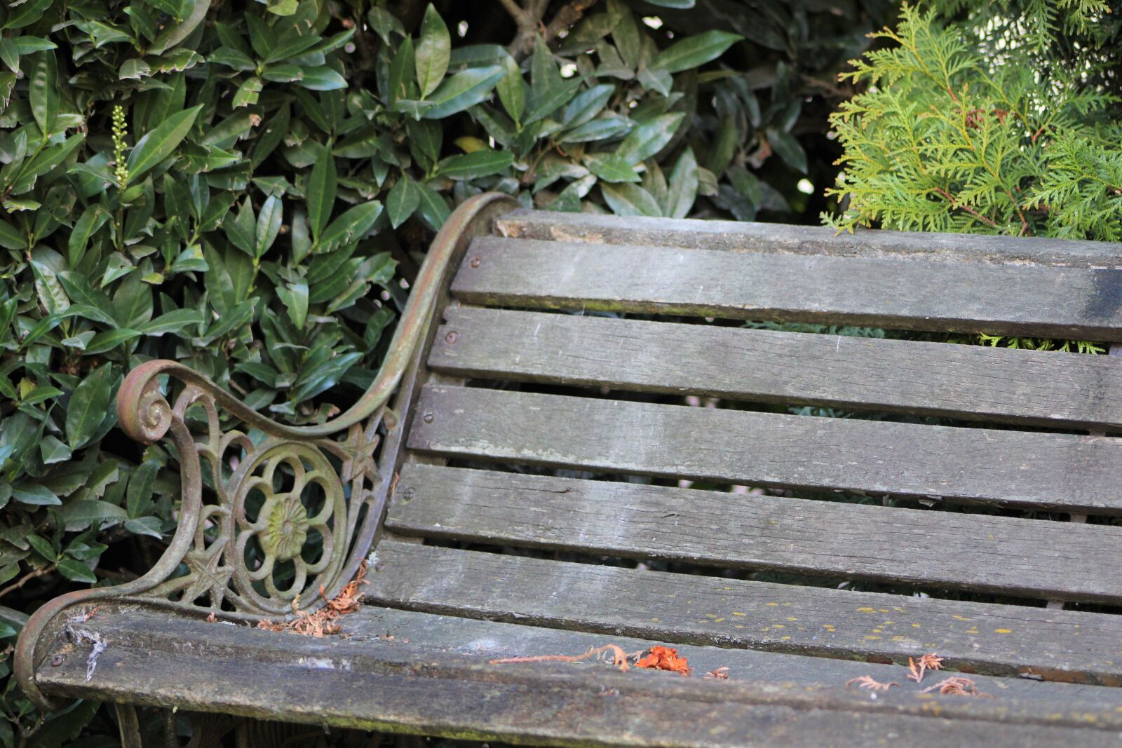 Canon EOS 2000D (EOS Rebel T7 / EOS Kiss X90 / EOS 1500D) sample photo. Bank, old, bench photography