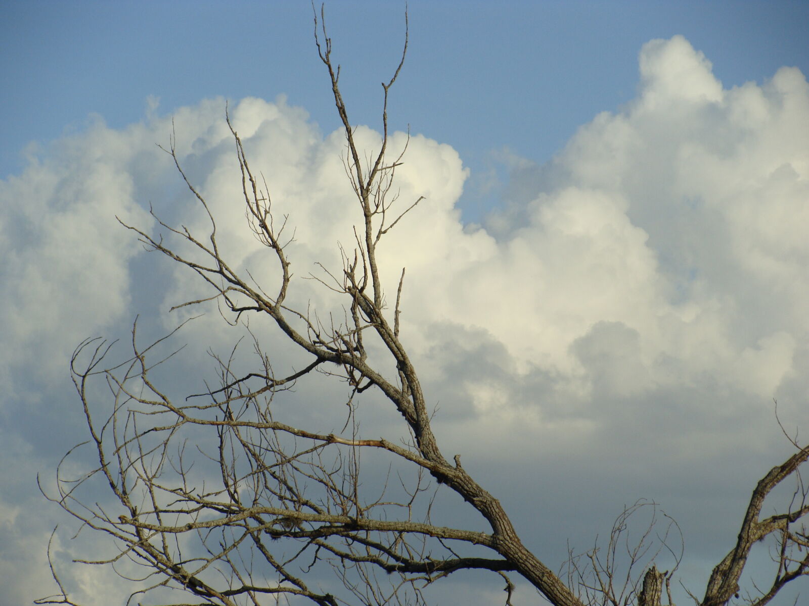Sony Cyber-shot DSC-H10 sample photo