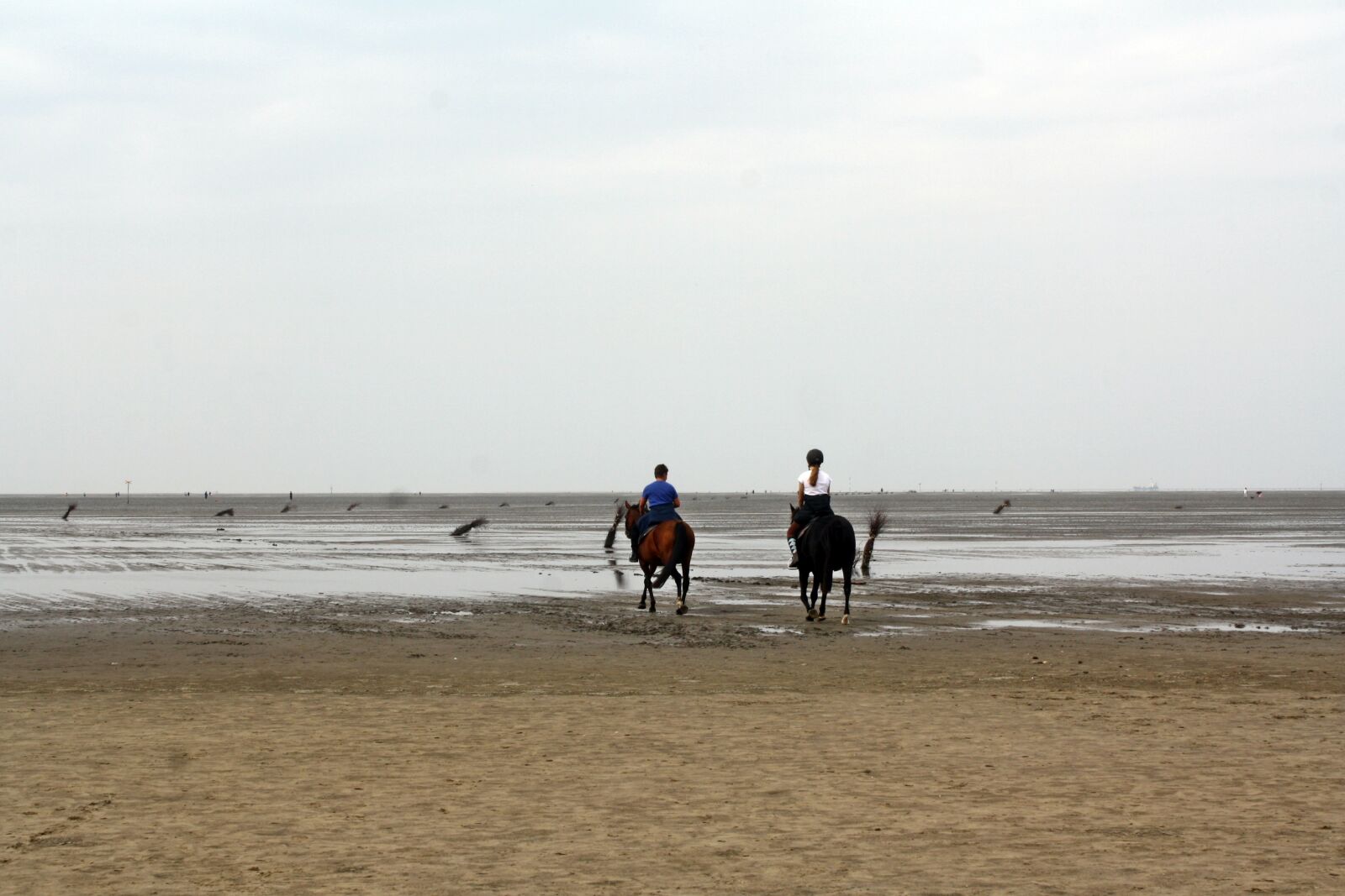 Canon EOS 1000D (EOS Digital Rebel XS / EOS Kiss F) sample photo. North sea, wadden sea photography