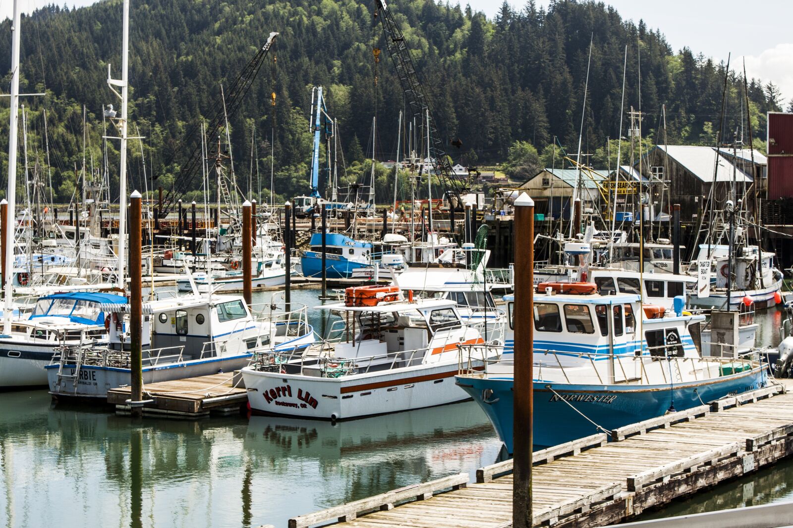 Canon EOS 500D (EOS Rebel T1i / EOS Kiss X3) sample photo. Garibaldi, harbor, fishing photography