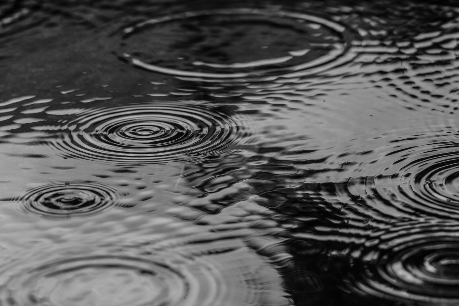 Canon EOS 7D Mark II sample photo. Puddle, water, rain photography