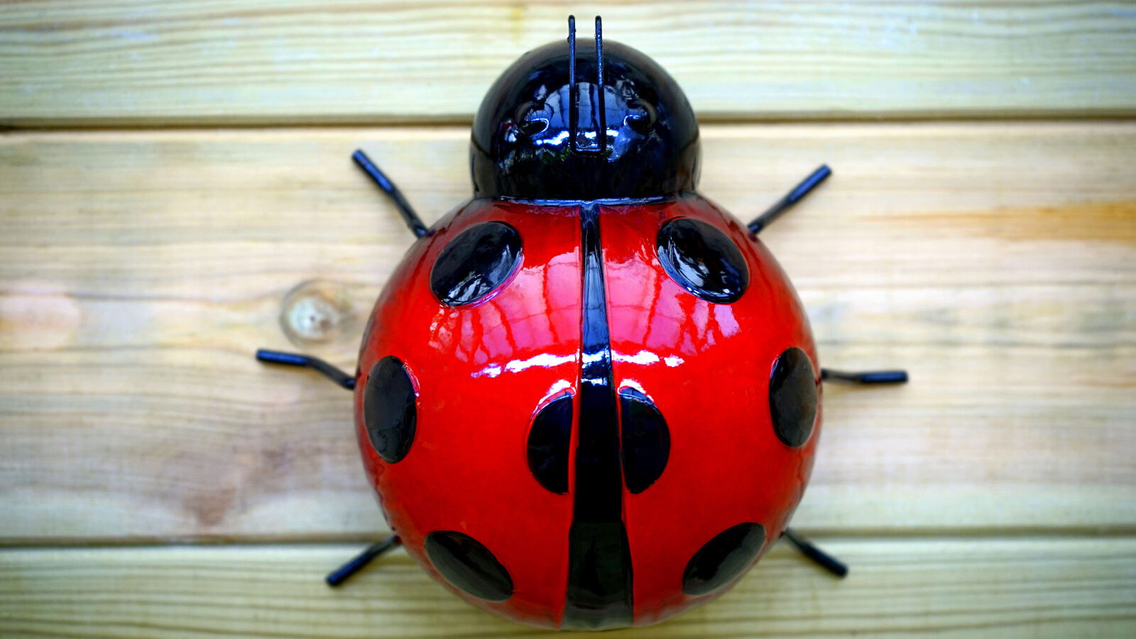 Sony a7 sample photo. Ladybug, plastic, toy photography