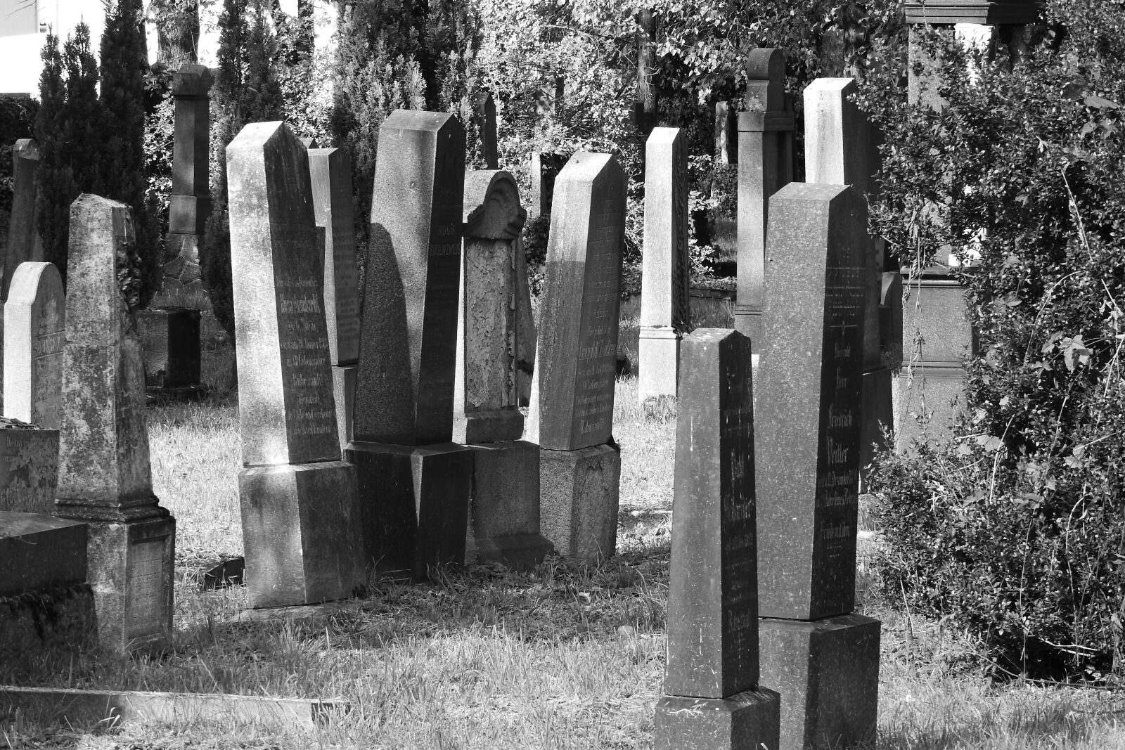 Nikon Coolpix P610 sample photo. Jewish cemetery, cemetery, tombstone photography