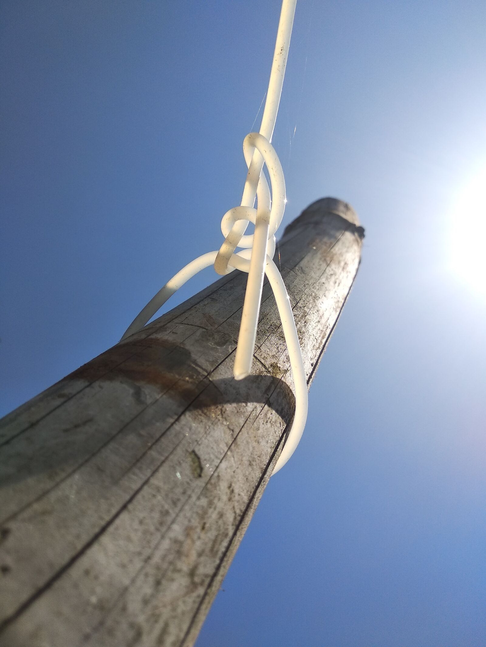 Xiaomi Redmi Note 5 sample photo. Blue sky, sunny, summer photography