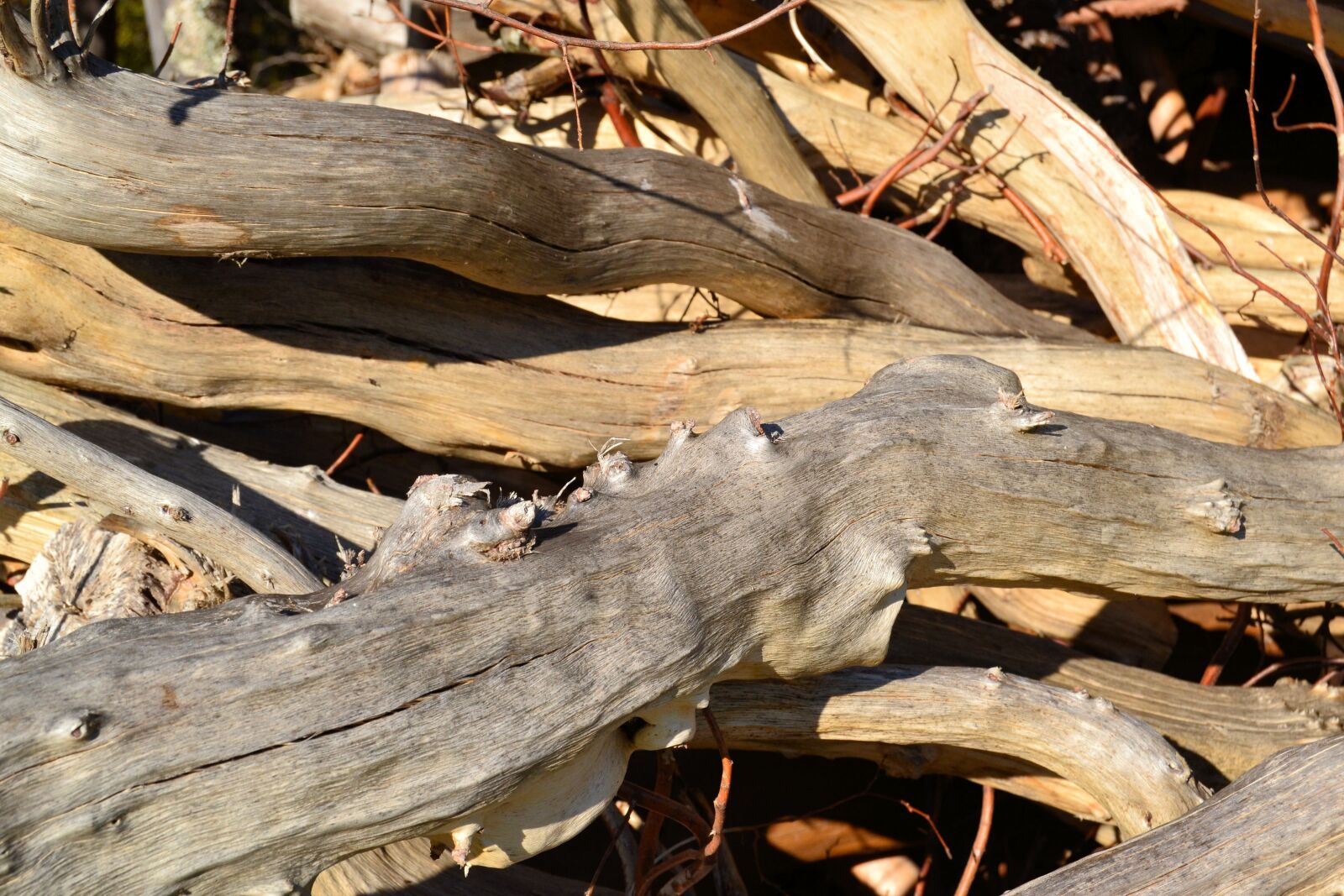 Nikon D3100 sample photo. Wood, stack, structure photography