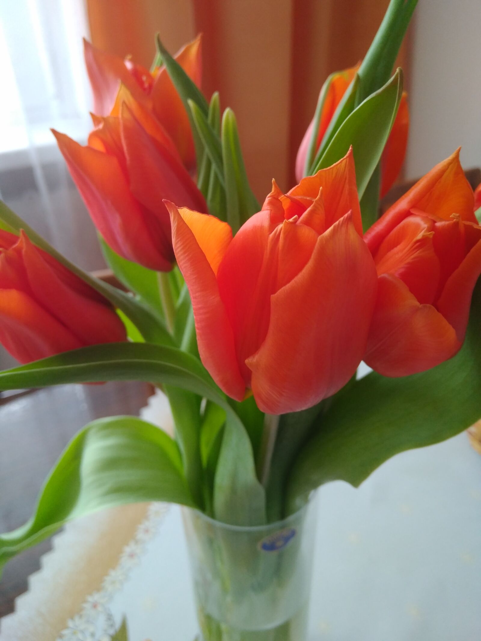Xiaomi Redmi 4 Pro sample photo. Orange flowers, orange, flowers photography